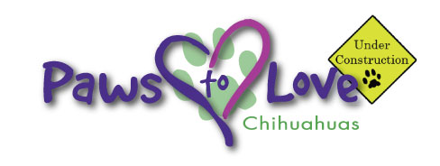Paws to Love Chihuahuas - Specializing in AKC Longhair Chihuahuas